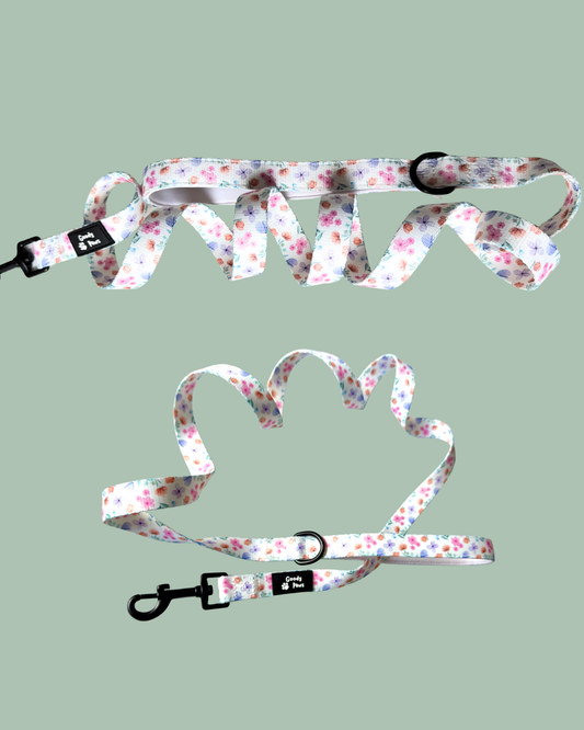 🌸 FLORAL PETAL PAWS DOG LEAD