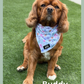 Petal Paws Bandana