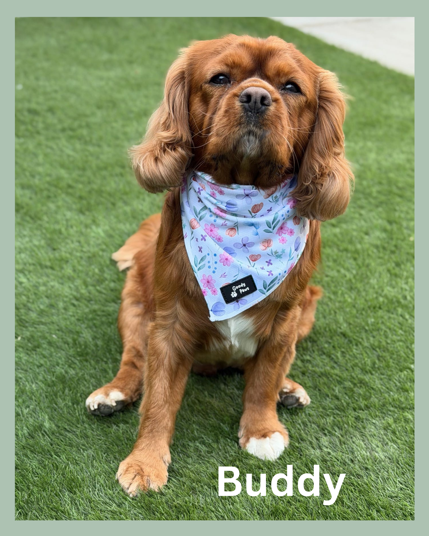 🌸 PETAL PAWS BANDANA