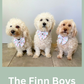 Petal Paws Sailor Bow