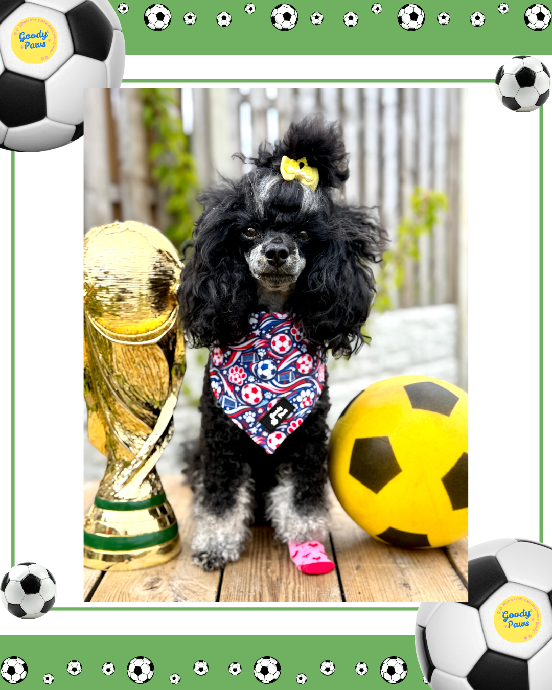 Football - Footie Paws Bandanas