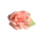 Removable Dog Flower Bows for collars – Elastic Band Fit