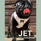 Petal Paws Adjustable Dog Harness