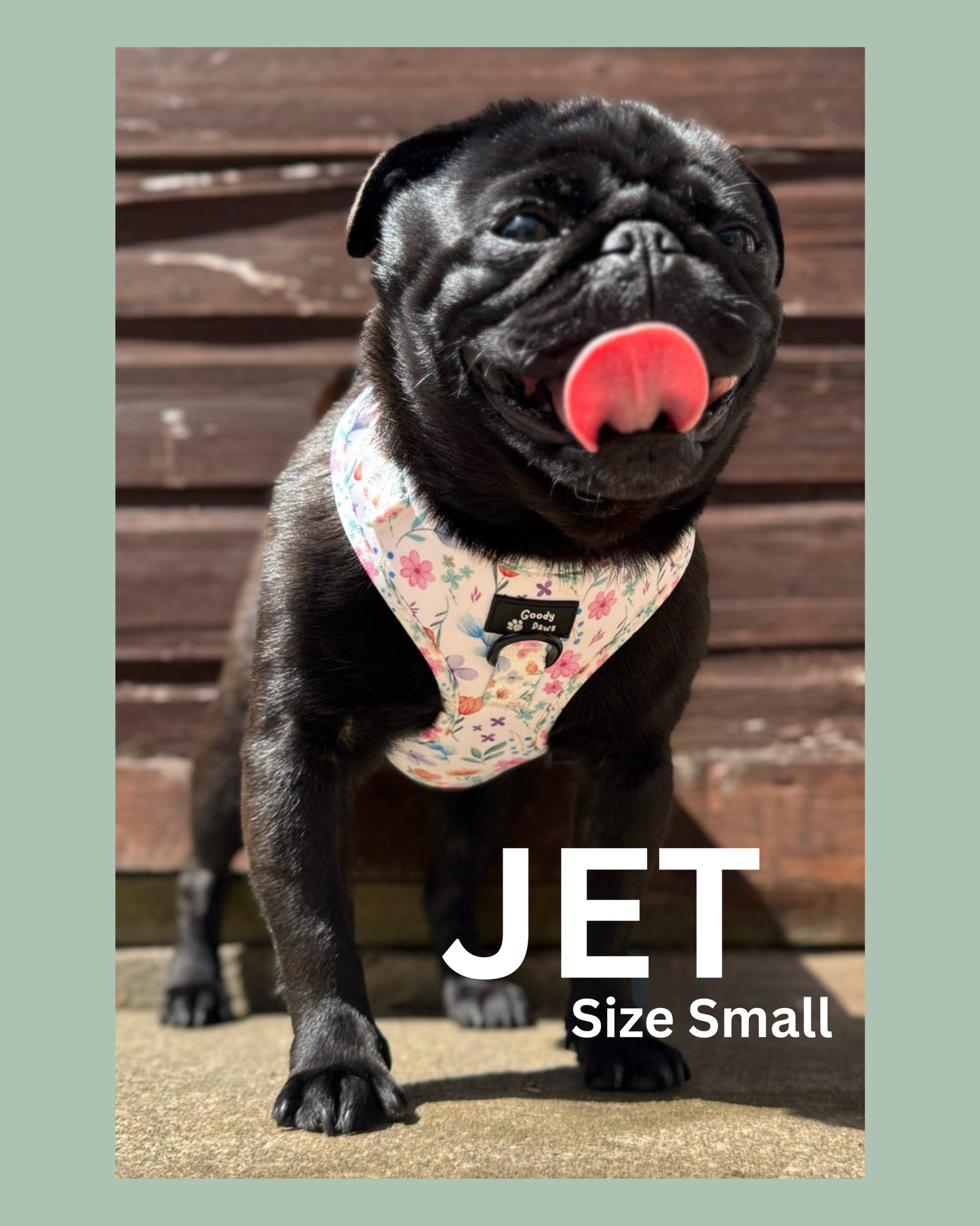 🌸 PETAL PAWS ADJUSTABLE DOG HARNESS