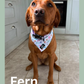 Petal Paws Bandana
