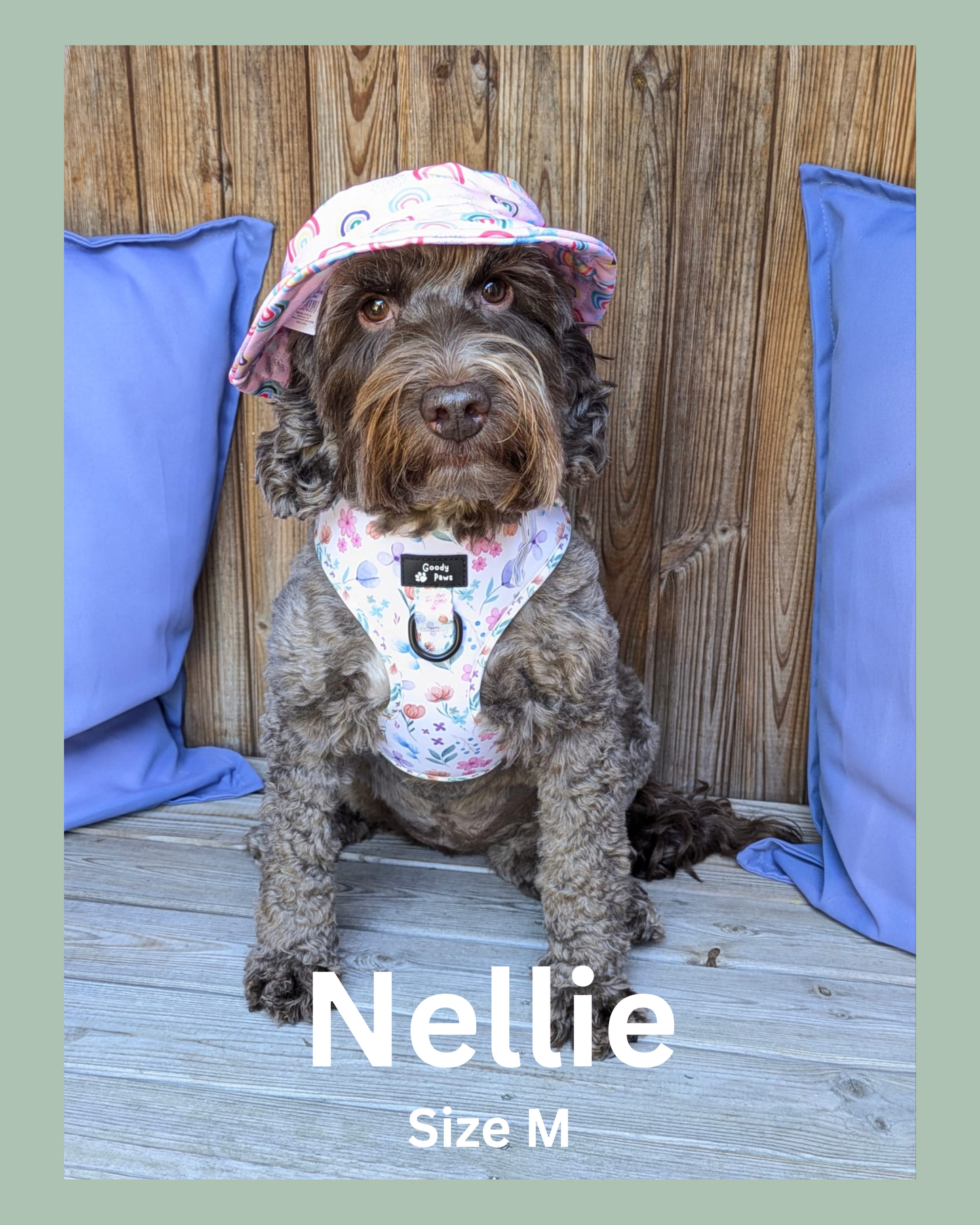 🌸 PETAL PAWS ADJUSTABLE DOG HARNESS