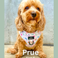 Petal Paws Adjustable Dog Harness