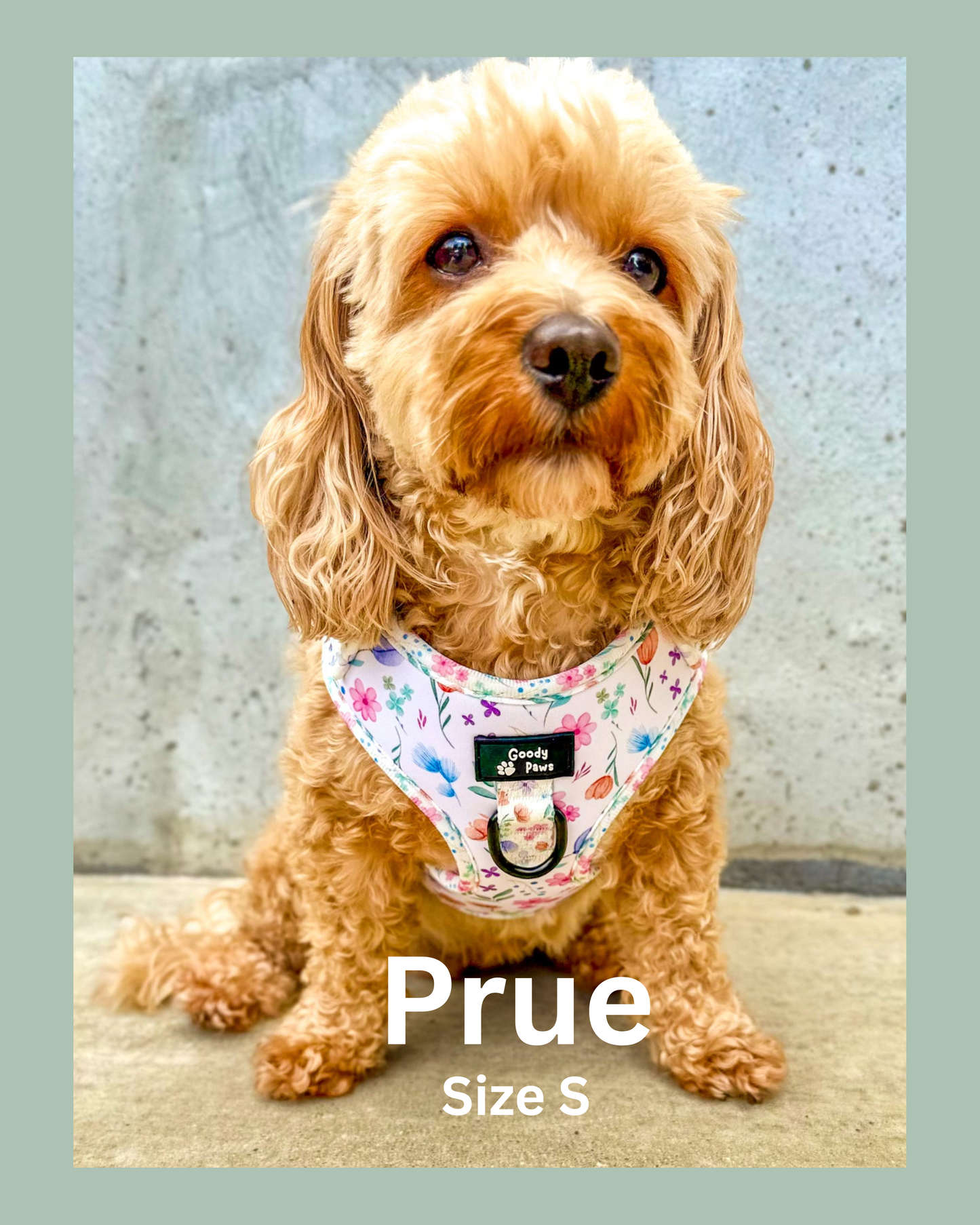 🌸 PETAL PAWS ADJUSTABLE DOG HARNESS