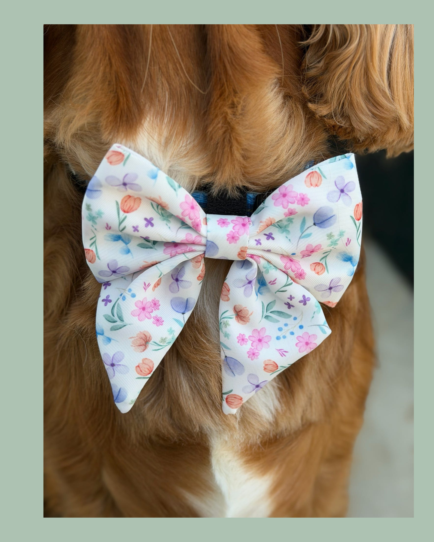 🌸 PETAL PAWS SAILOR BOW