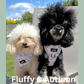 Petal Paws Adjustable Dog Harness