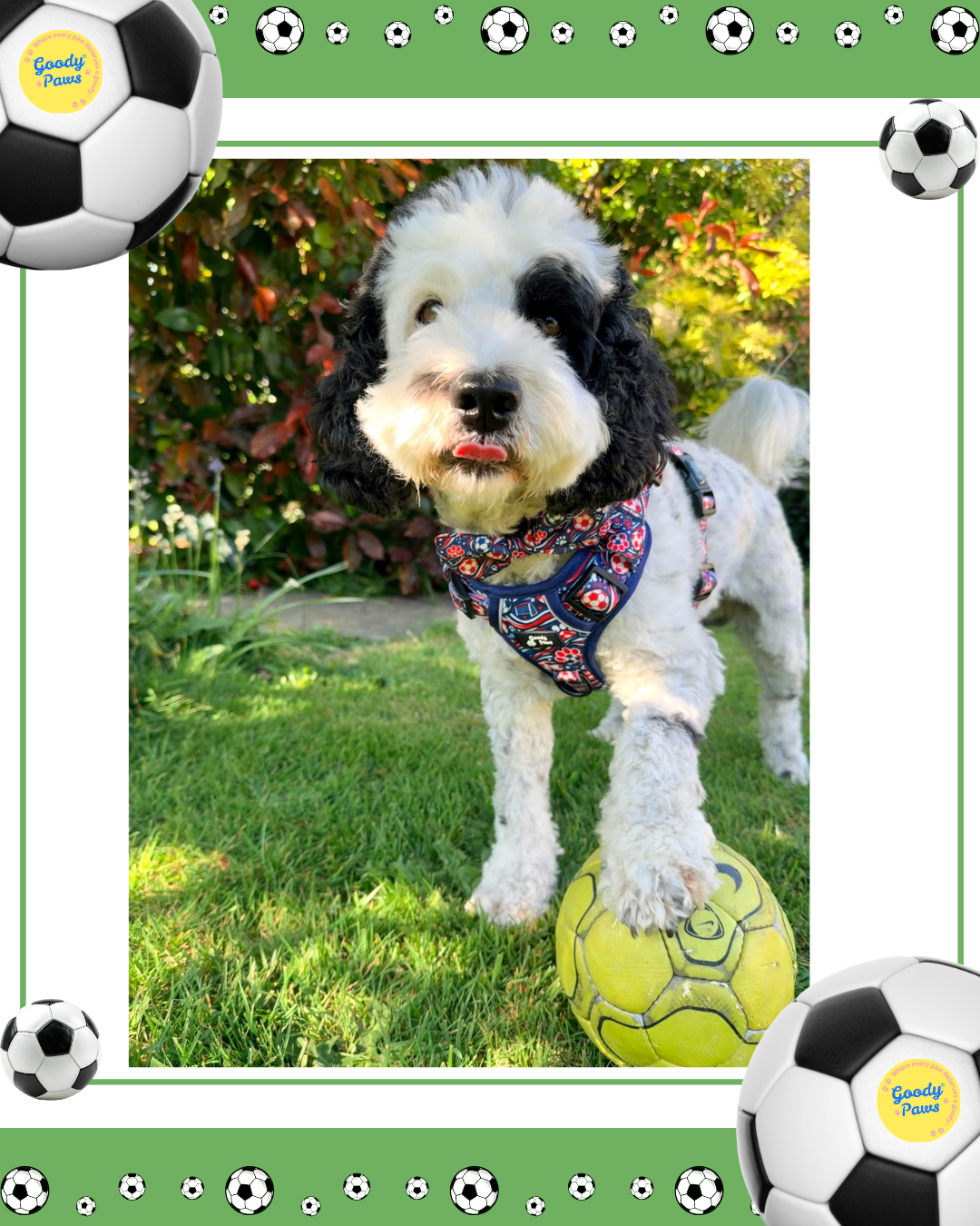 Footie Paws Tough Harness