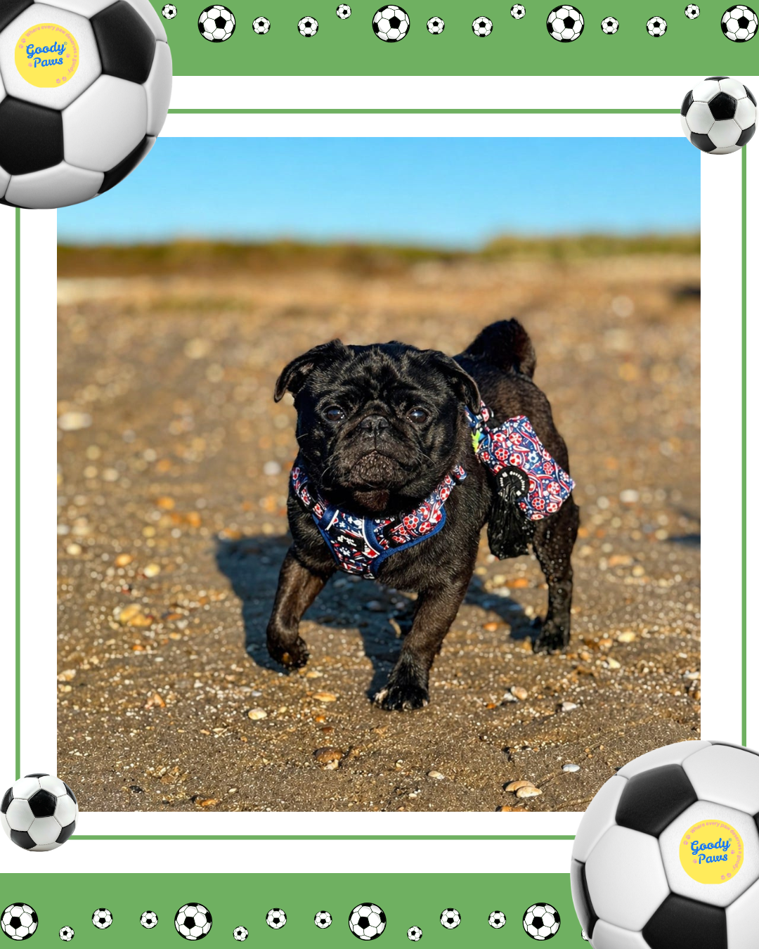 Footie Paws Tough Harness