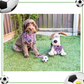 Footie Paws Football Dog Lead