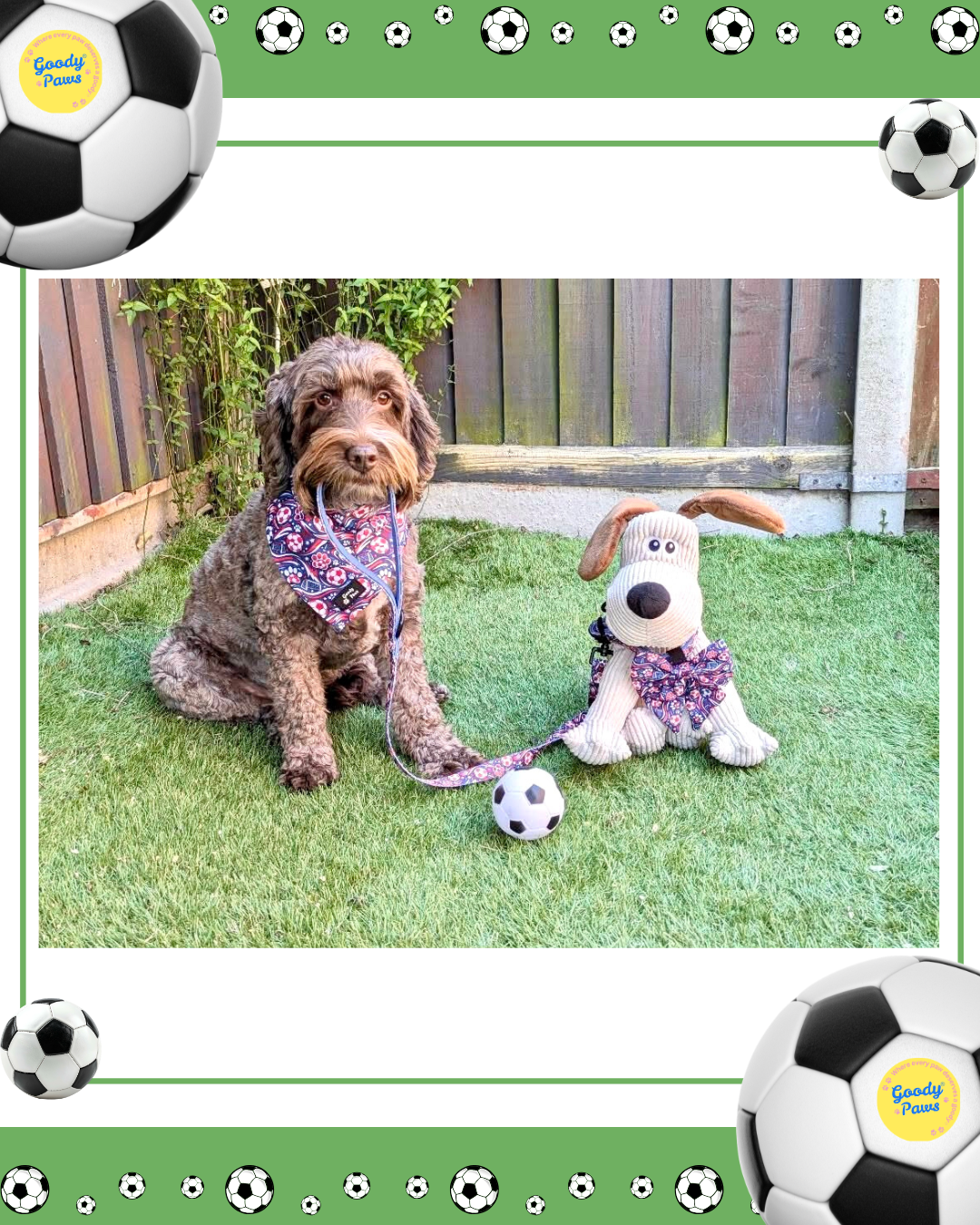 Footie Paws Dog Lead