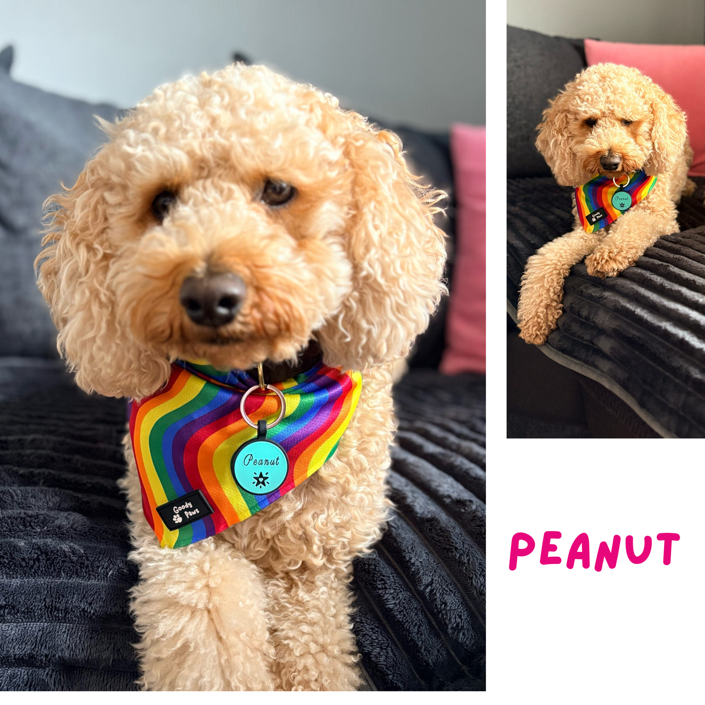 Pride Rainbow Cooling Dog Bandana | Goody Paws UK