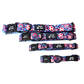Footie Paws Football Dog Bundle