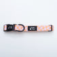 Tutti Fruity Adjustable Dog Collar