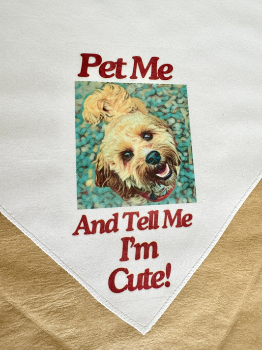 Personalised Bandanas – Made Just for You and Your Pup!