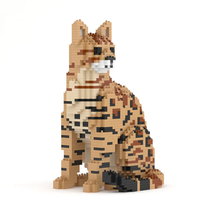 Bengal Cat 4-in-1 Pack