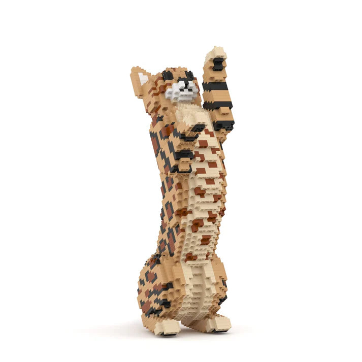 Bengal Cat 4-in-1 Pack