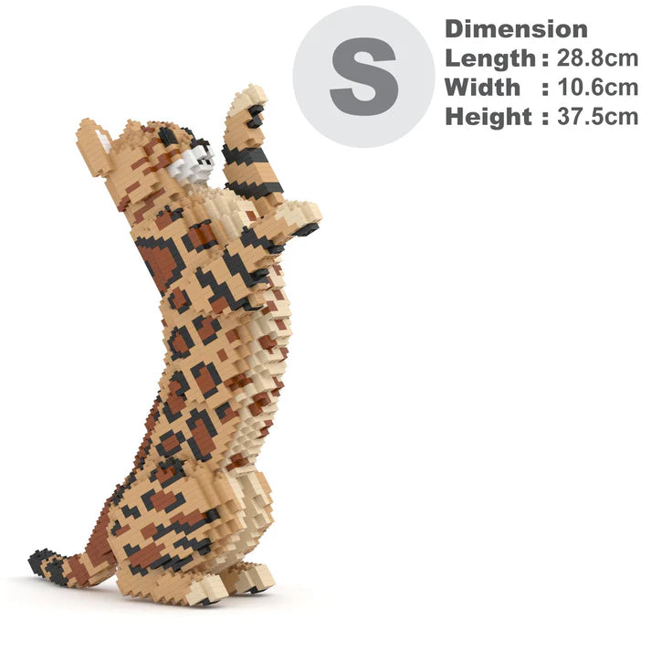 Bengal Cat 4-in-1 Pack