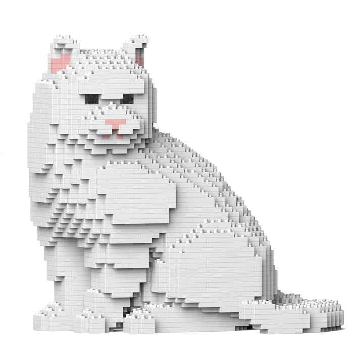 British Shorthair Cat M02