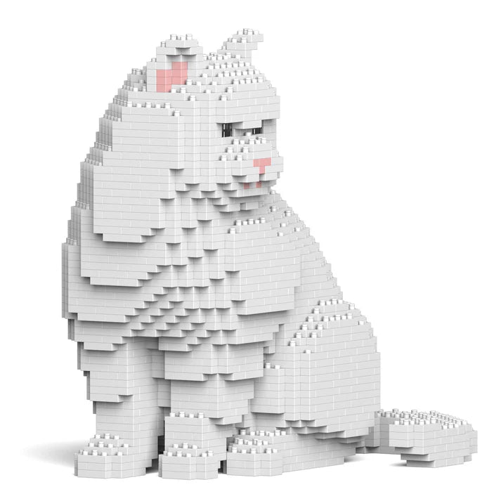 British Shorthair Cat M02