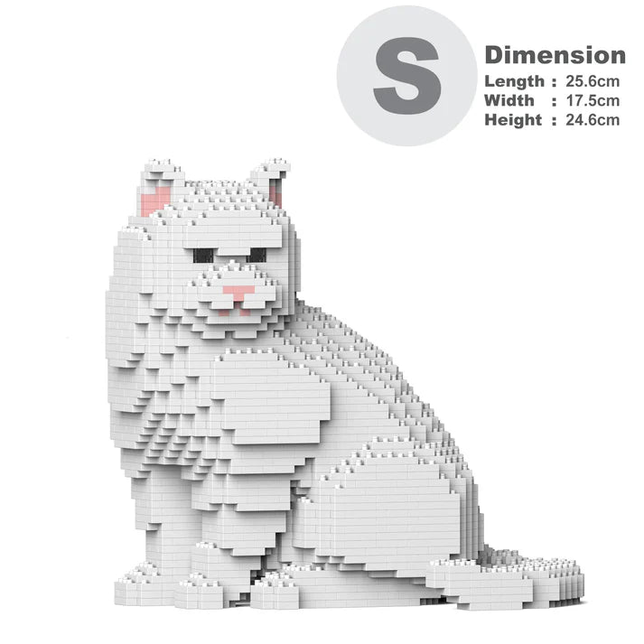 British Shorthair Cat M02