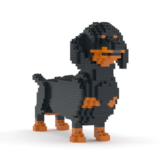 Dachshund