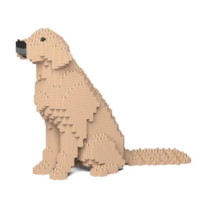Golden Retreiver 03-M03