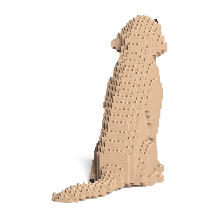 Golden Retreiver 03-M03