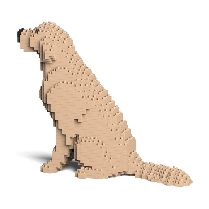 Golden Retreiver 03-M03