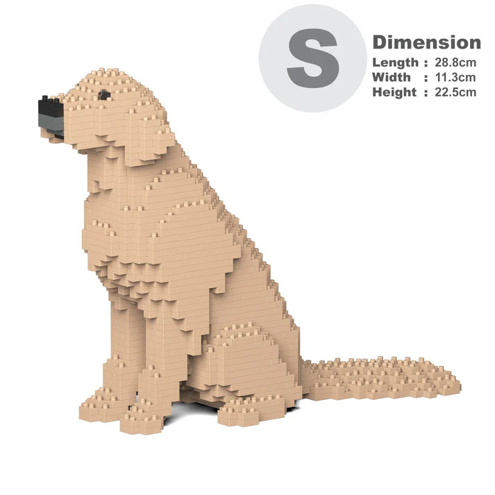 Golden Retreiver 03-M03