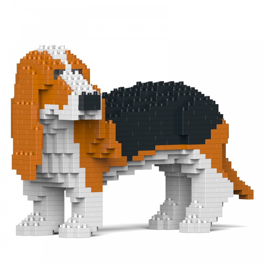 Basset Hound