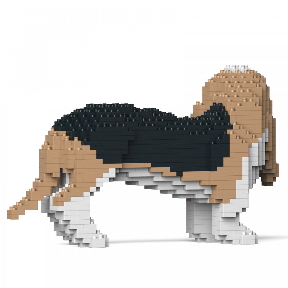 Basset Hound