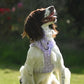 Lilac Sheep Adjustable Dog Harness