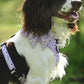 Lilac Sheep Adjustable Dog Harness