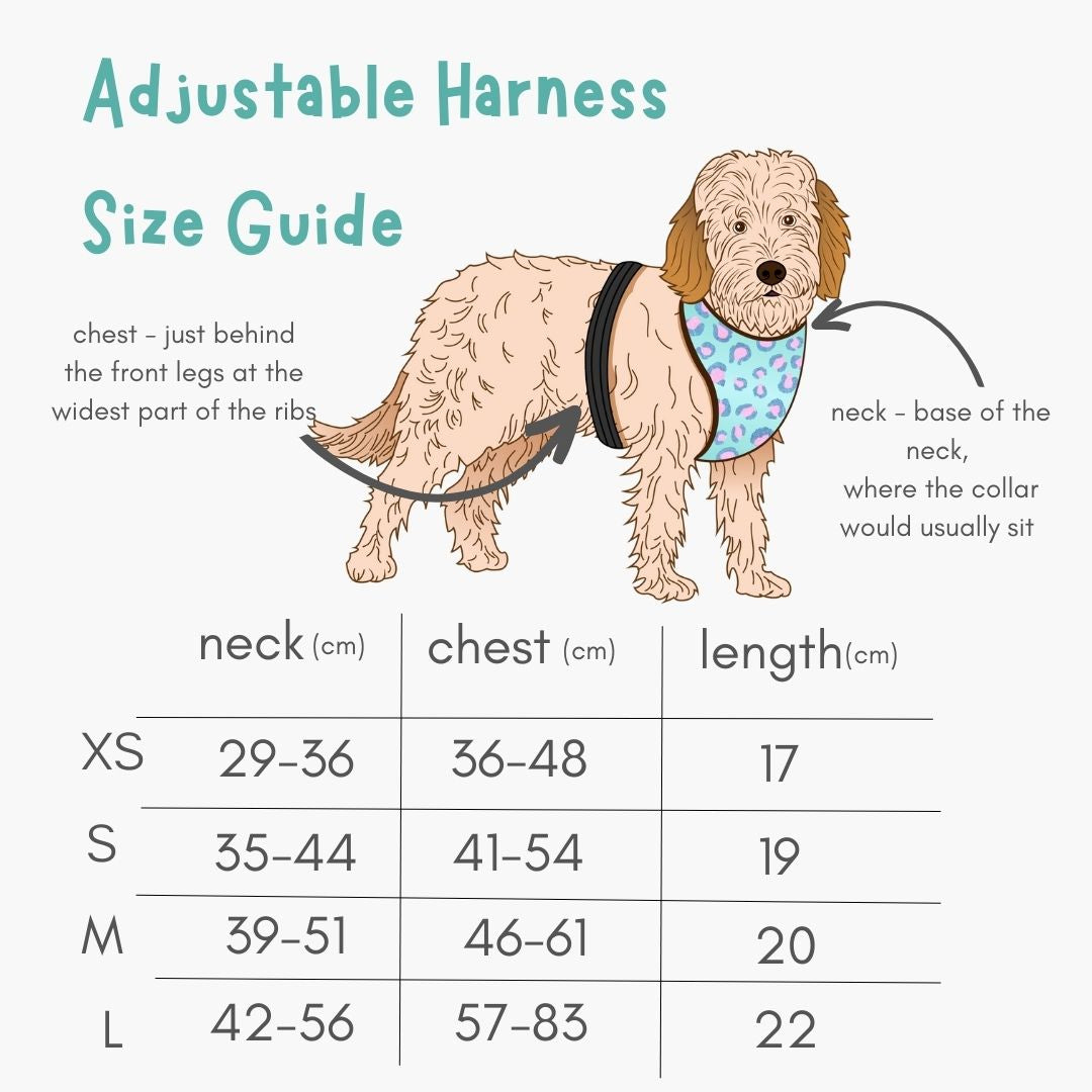 Chester Floral Adjustable Dog Harness