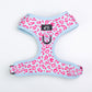 Tilly Adjustable Dog Harness